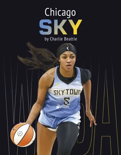 Express Delivery Chicago Sky. Paperback