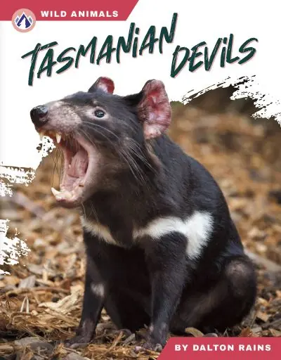 Tasmanian Devils. Paperback Reduced Price
