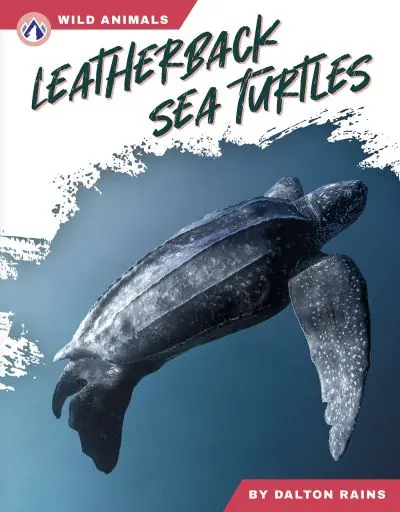 One Day Deal Leatherback Sea Turtles. Hardcover