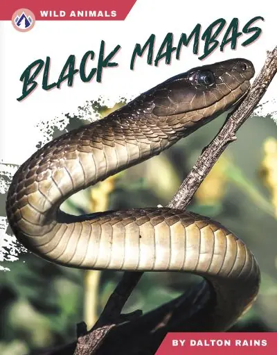 New Arrival Black Mambas. Hardcover