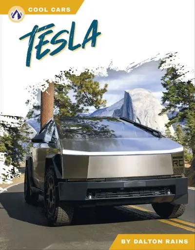 Tesla Fan Favorite
