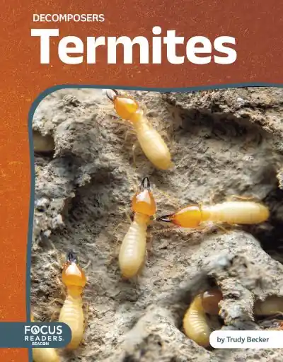 Termites Hot Picks