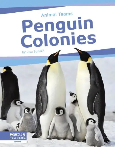 Penguin Colonies Professional Grade