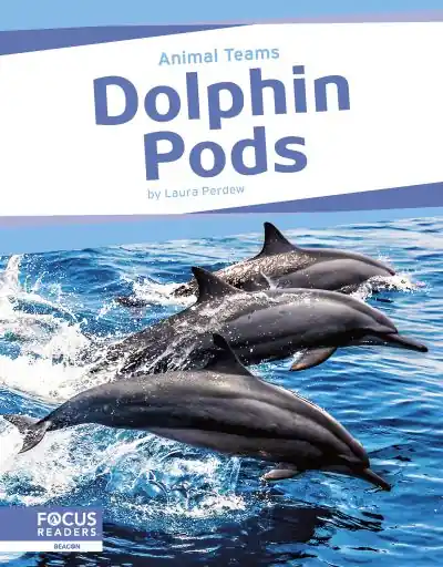 Luxury Dolphin Pods