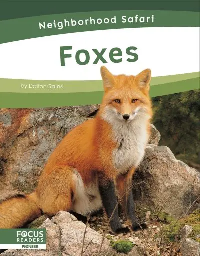 Bargain Foxes