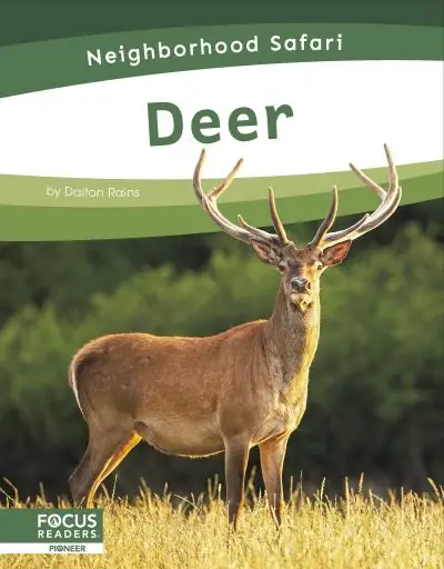 Deer Luxury