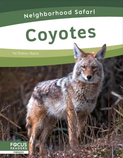 Coyotes Mega Sale