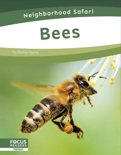 Bees Order Now