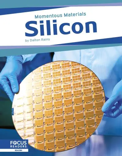 Reduced Price Silicon