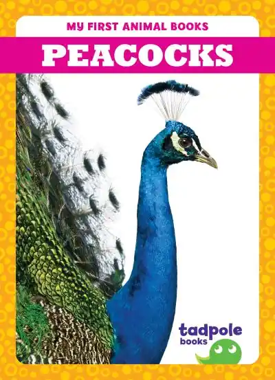 Luxury Peacocks
