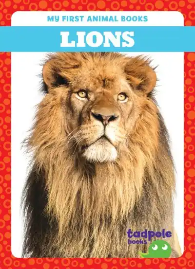 Lions No Minimum Order