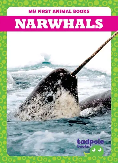 Sale Narwhals