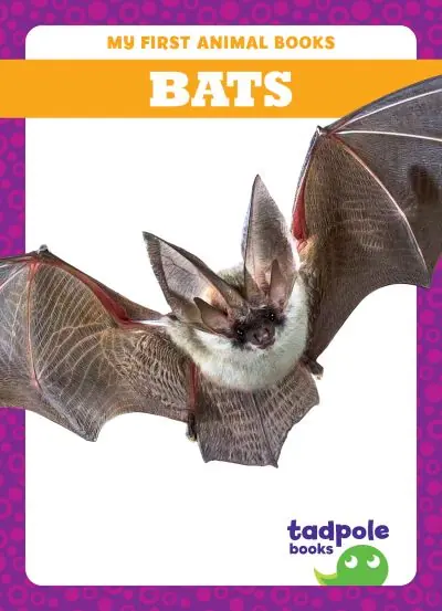 Bats Limited Offer