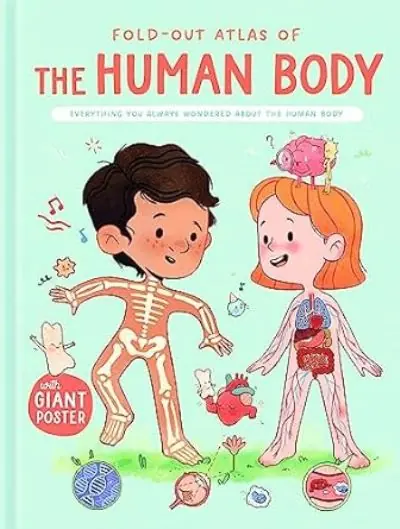 Affordable The Human Body (Fold-Out Atlas of)