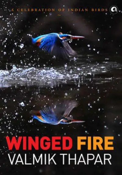 Winged Fire Hot Picks
