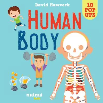 Popular Human Body