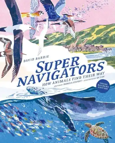 Supernavigators Seasonal Sale