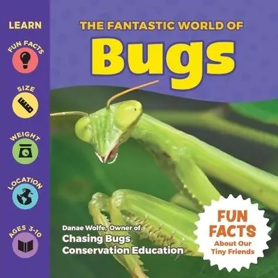 Exclusive The Fantastic World of Bugs