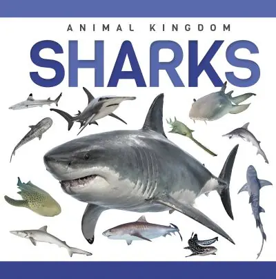 Sharks New Arrival