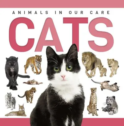 Cats. Hardcover Order Now