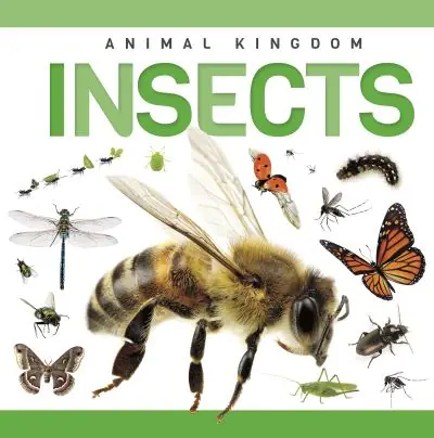 Insects Fast Shipping