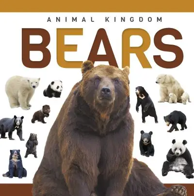 Bears Affordable