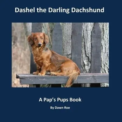 Dashel the Darling Dachshund Editor’s Pick