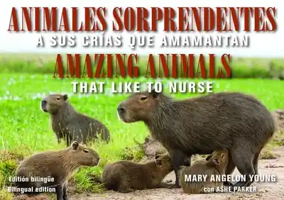 Animales Sorprendentes / Amazing Animals - English & Spanish Bilingual Edition Express Delivery