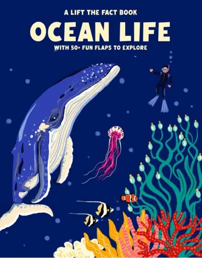 Fresh Stock Lift the Fact: Ocean Life