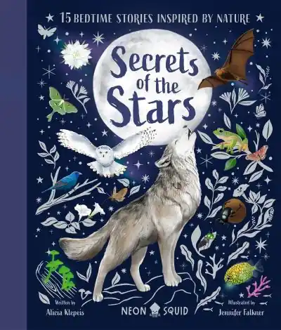 Buy Direct Secrets of the Stars