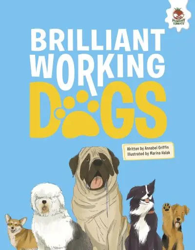 New Arrival Brilliant Working Dogs