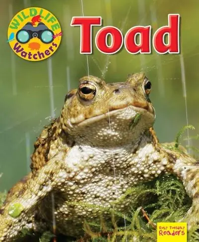Toad Authentic