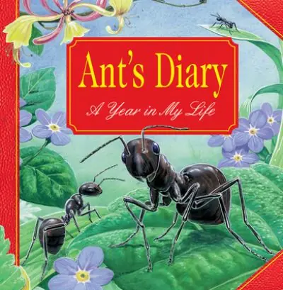 Ant's Diary Factory Price