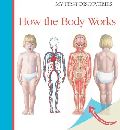 How the Body Works One Day Deal