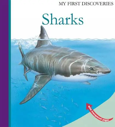 Sharks Holiday Sale