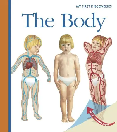 Factory Price The Body
