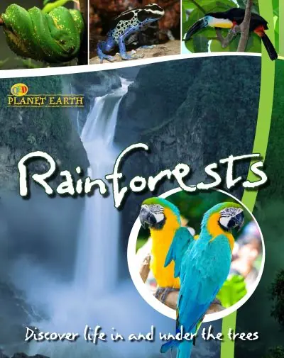 Super Sale Rainforests