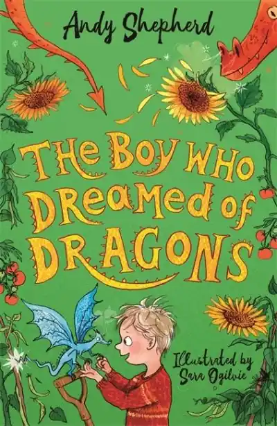 The Boy Who Dreamed of Dragons Direct From Factory
