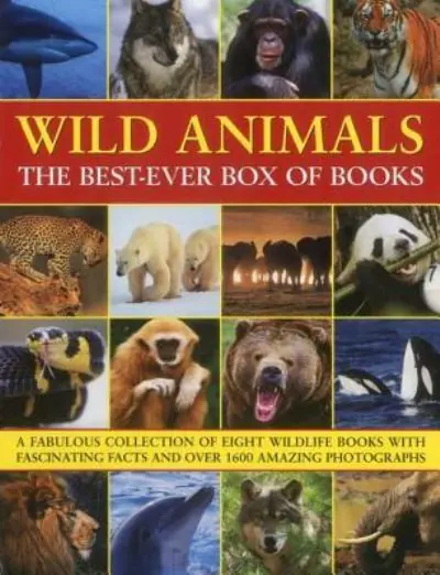 Wild Animals Special Offer
