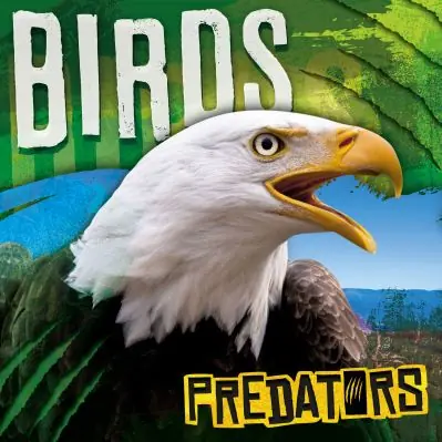 Limited Offer Birds