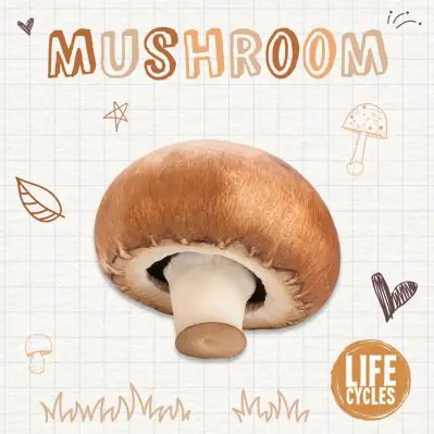 Mushroom Cheap