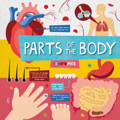 Genuine Parts of the Body