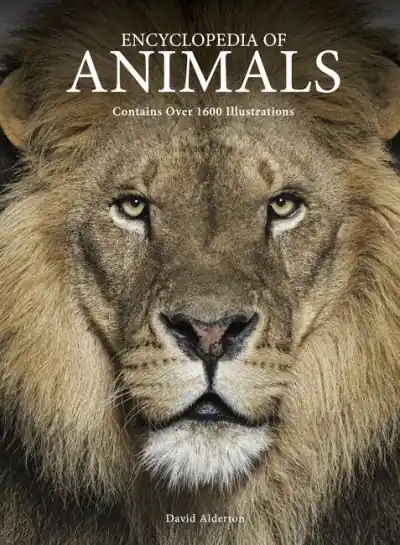 New Release The Encyclopedia of Animals