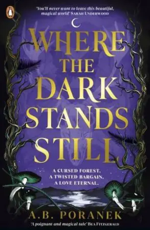 Where the Dark Stands Still Big Sale