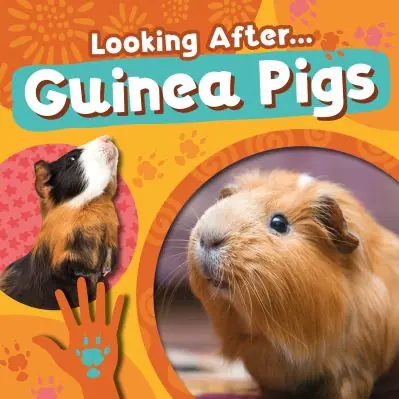 Looking After... Guinea Pigs Free Shipping