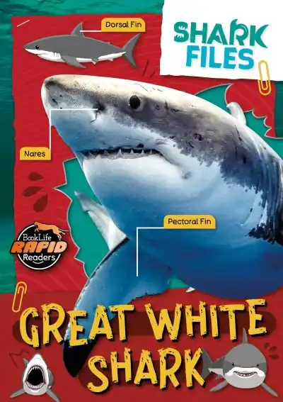 Great White Shark Luxury