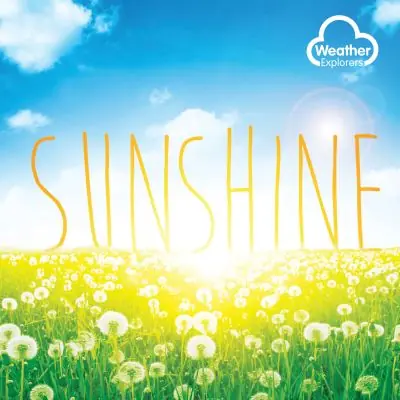 Holiday Sale Sunshine