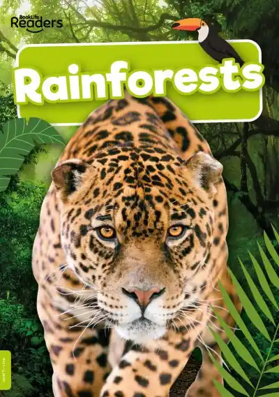 Buy Online Rainforests