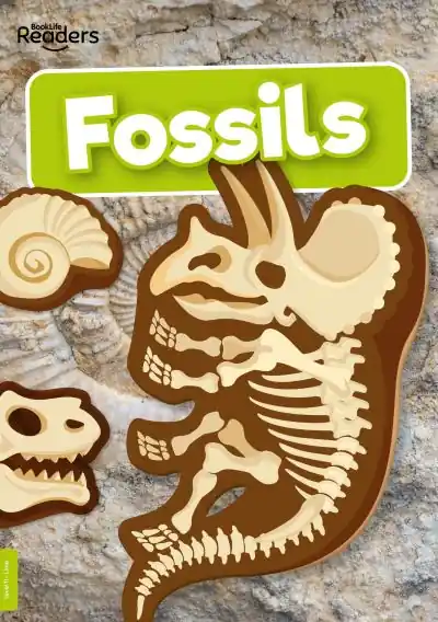 Don’t Miss Out Fossils
