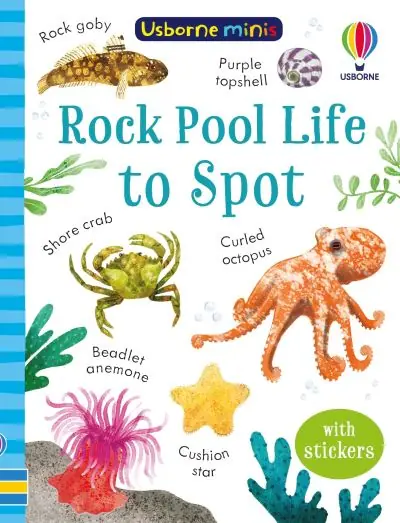 One Day Deal Rock Pool Life To Spot